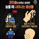 stress 받으면.. 이미지
