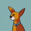 해밀고등학교 이미지