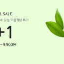 스타바스 이미지