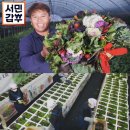 범석농장 이미지