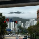 경기도 수원시 팔달구 월드컵로321번길 ~ 월드컵로311번길 | 20251012 수원삼성블루윙즈 VS 천안시티FC 직관기록