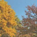 성동카랜드 이미지