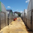 도대농장 이미지