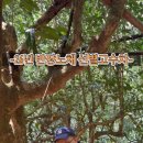 정비반장 이미지