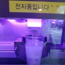 미스터컵 대전복수점