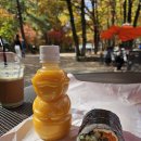 속초 중앙동 김밥 맛집 최대섭대박김밥