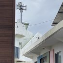 삼달1리마을회관 이미지