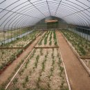 해송목장 이미지