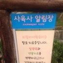 악마는프라다를싸게입는다 이미지