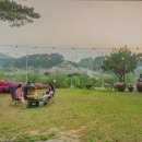 강릉애 진심 이미지