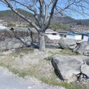 자은 고장 지석묘군 이미지