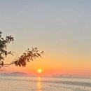 국화펜션 이미지