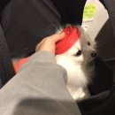 커피아 이미지