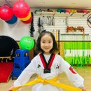 연세 남부 태권도장 | 인천 부평구 연세남부태권도, 후기, 가는법, 리뷰