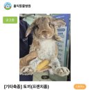 조재진 동물병원 이미지