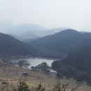 그린목장 이미지