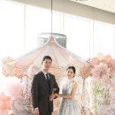 스테이그라피