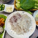 여수 / 돌산 / 현지인 추천 자연산 막회 맛집 / 은하횟집 (내돈내산)