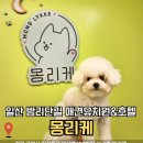 몽리케 이미지