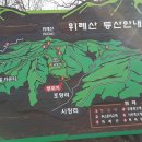호당리 티스토리