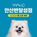 털로 덮인 친구들 이미지
