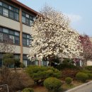 연천중고등학교 이미지