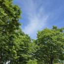 대구체육중학교 이미지