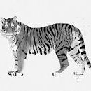 영남한의원 이미지