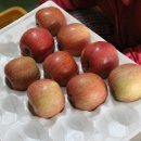 부광농장 이미지