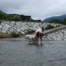 우리동네 감천 이미지