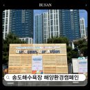 부산 해양환경캠페인 송도해수욕장에서 시민참여형 행사 후기