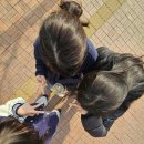 서브웨이 앞 횡단보도 이미지