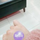 엘림피아노학원 이미지