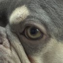 오팔농장 이미지