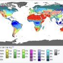 크리에이티브 코딩 이미지