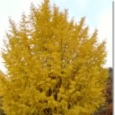 봉의농장 이미지