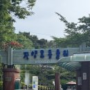 장대어린이놀이터 | 경남 진주 아이랑 가볼만한 곳 진양호동물원 생태설명회 안내와 진양호 전망대 내돈내산 후기