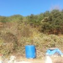 봉산면011 이미지