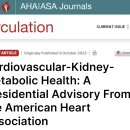 2023 미국심장학회 정의 CKM 대사증후군!! 문치연 주목 새로운 용어!! 이미지