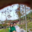 화개경로당 이미지