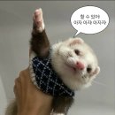 구의중학교 이미지