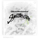 봄을 여는 어우러기 희망콘서트 | 실리카겔 킨텍스 콘서트 후기 (2025 Syn.THE.Size X) | 스탠딩 좌석·굿즈·연출 총정리