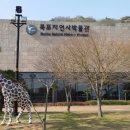 목포렌트카노블 이미지