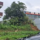 성주 예산리 배리댁 이미지