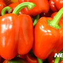 운봉농협 농산물산지유통센터 이미지