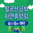 팔공산금화자연휴양림 | 팔공산금화 자연휴양림 숲속의집 휴양관 야영장 카라반 안내 - 숲나들e 예약
