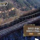 언니날다