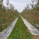 태송농원 이미지