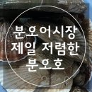 분오호 이미지