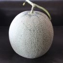 바리미농장
